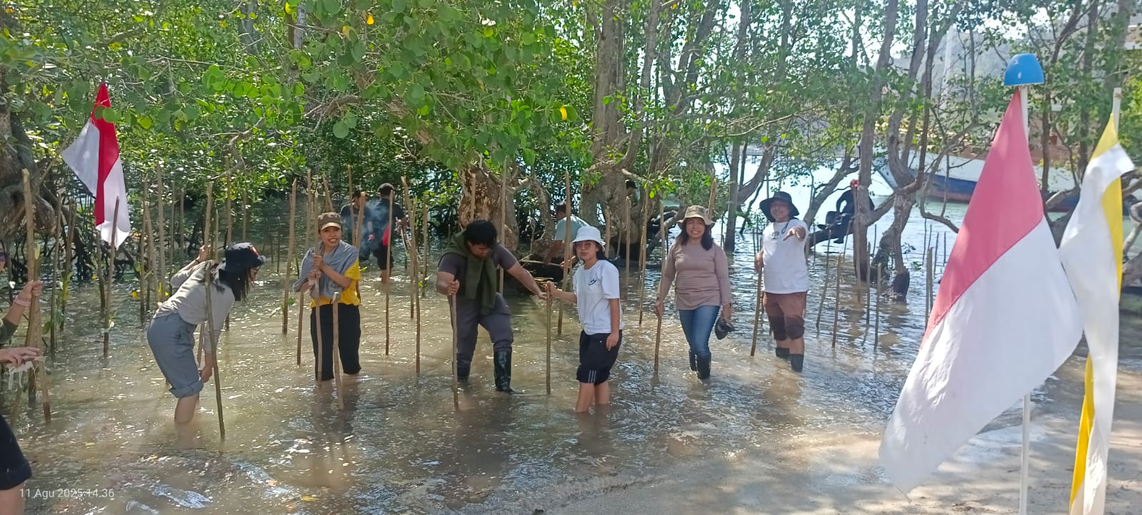 Sejumlah aktifis saat menanam Manggrove di Pantai Binongko. (Foto : Ferdy Jemaun)