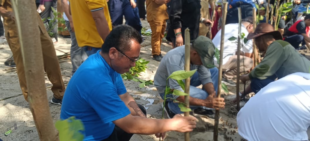 Sekretaris Jenderal Keuskupan Labuan Bajo, RD. Frans Nala Kartijo Udu, saat menanam Manggrove di Pantai Pede. (Foto : Ferdy Jemaun)